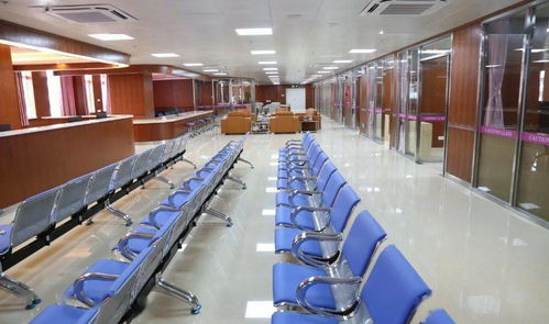 開平市一站式健康管理服務(wù)系統(tǒng)正式上線 信息系統(tǒng)集成服務(wù)全面啟用